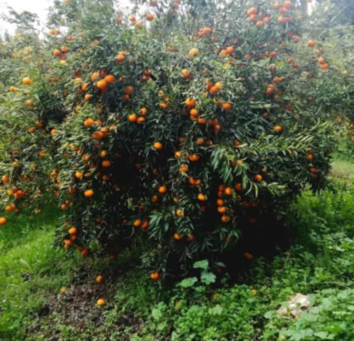 Pensjonat Dar Khedija El Kheriba Zewnętrze zdjęcie